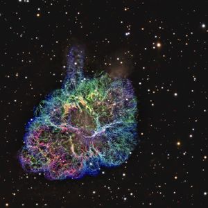 Full Portfolio Gallery